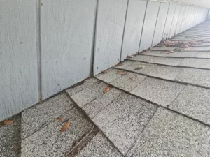 From Roof to Foundation: Tampa Home Inspection Tips for Smart Buyers